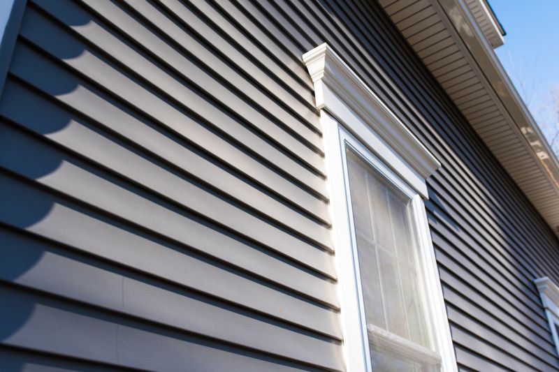 Modern Vinyl Siding